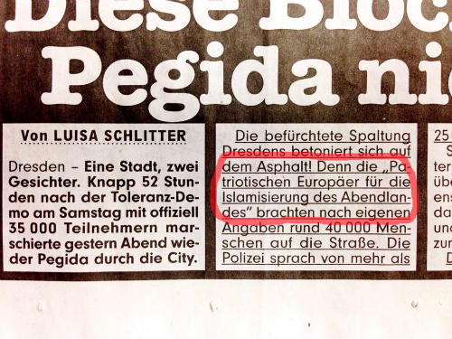 Aussriss aus "BILD Dresden" vom 13.1.2015