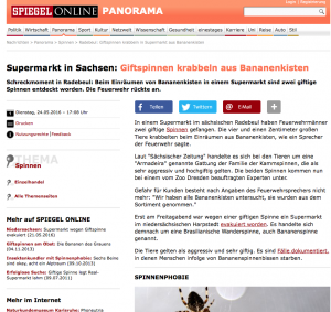 Screenshot Spiegel Online